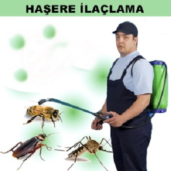 Gülağaç Böcek İlaçlama